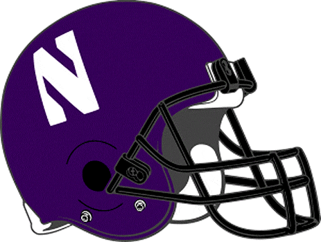 Northwestern Wildcats 1994-Pres Helmet Logo iron on transfers for fabric